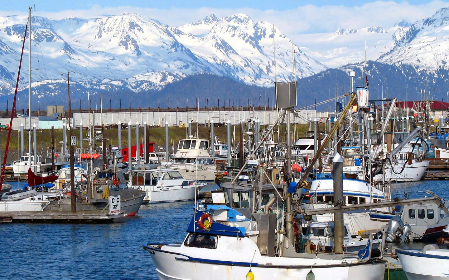 Halibut Fishing in Soldotna, AK FishingBooker