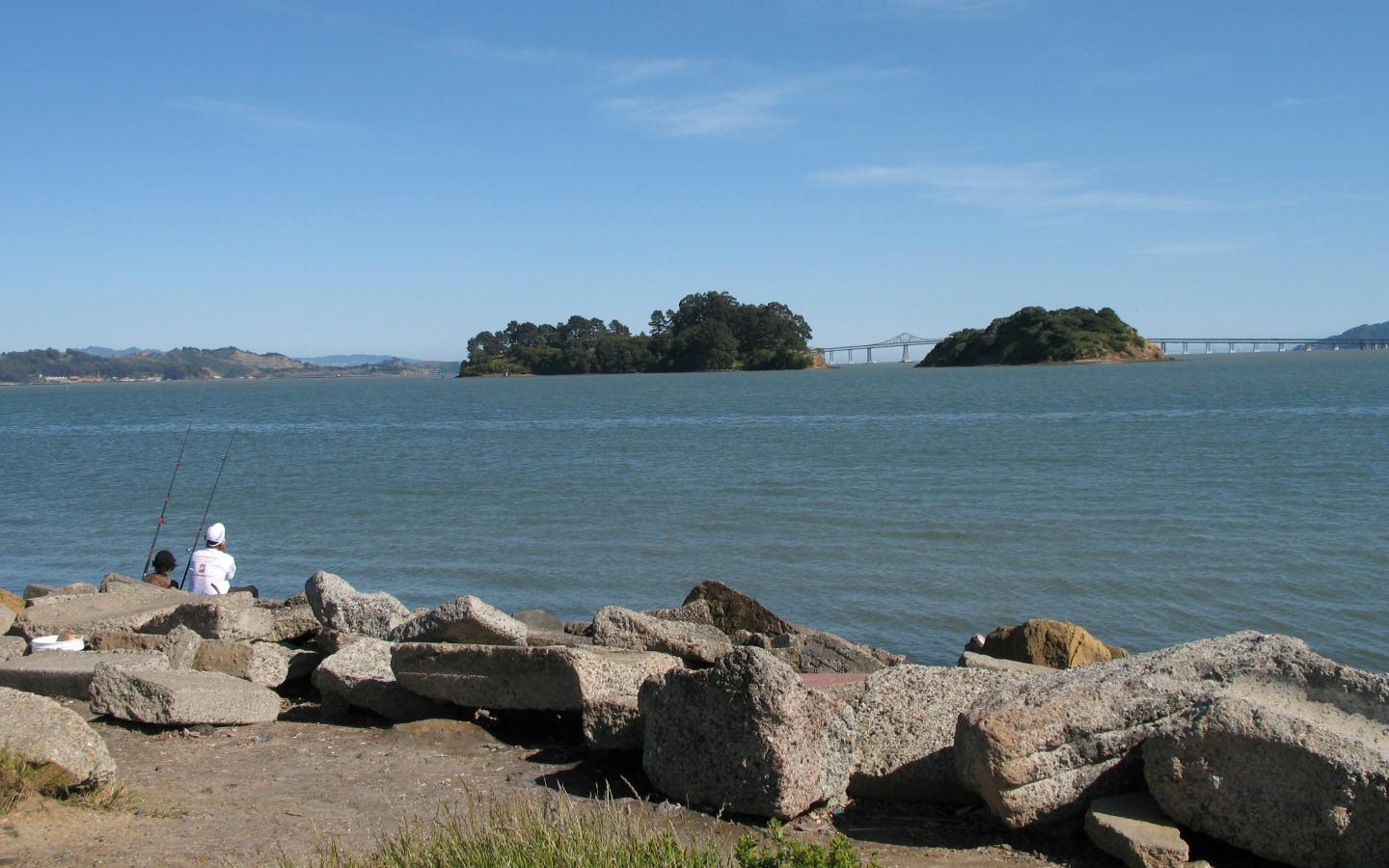 Halibut Fishing in San Pablo Bay FishingBooker