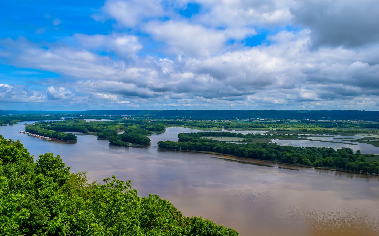 Black Drum Fishing in Buras, LA FishingBooker