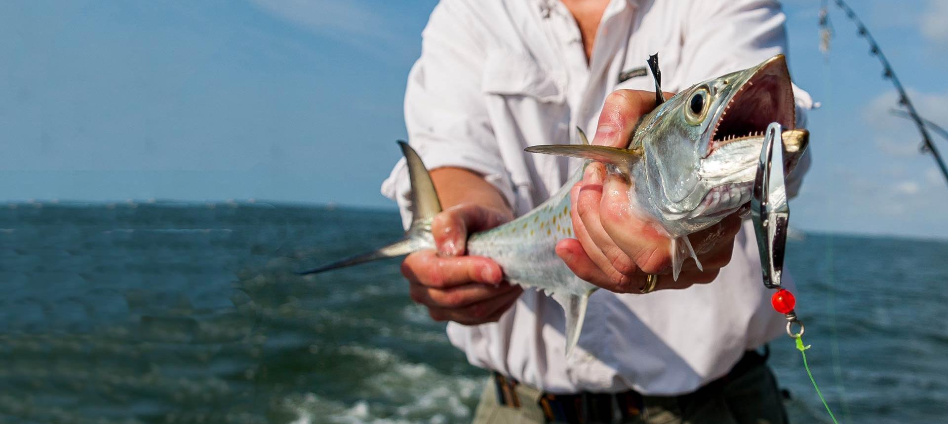 Atlantic Mackerel Fishing in Martha's Vineyard FishingBooker