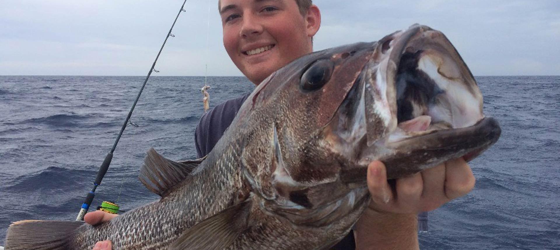 Dhufish Fishing in Fremantle FishingBooker