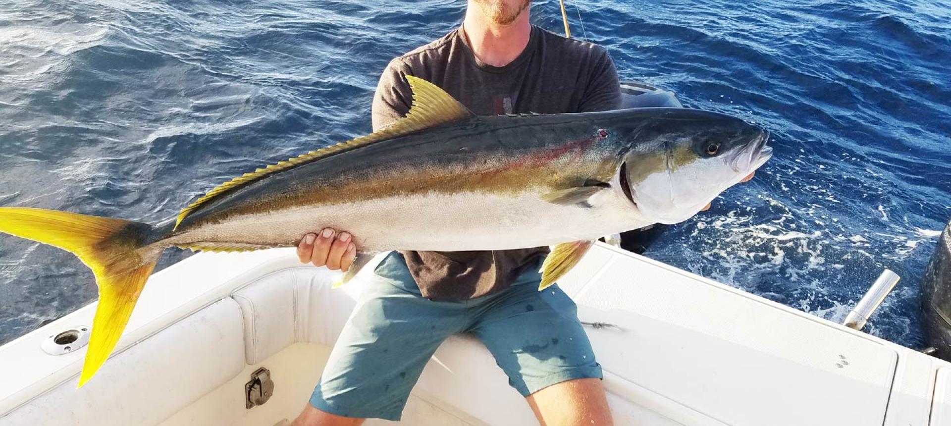 Tuna (Yellowfin) Fishing in Charleston, SC FishingBooker