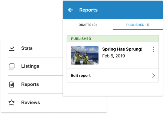 Reports & Reviews