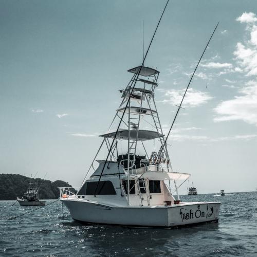 Fish On Sportfishing