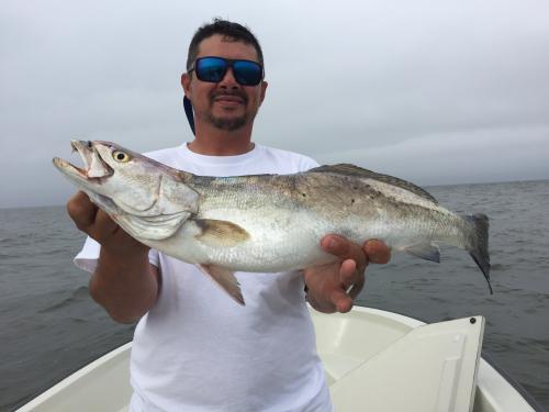 Reel Men Fishing Charters