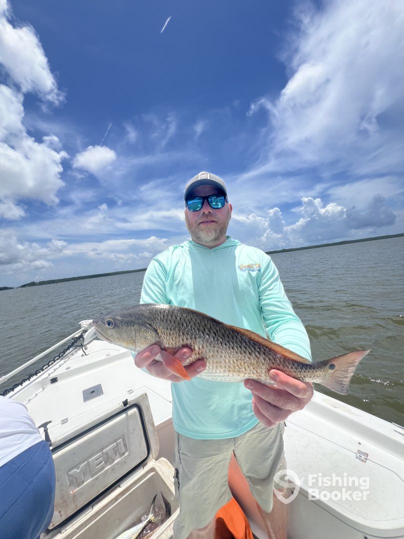Alabama Report Photo 0