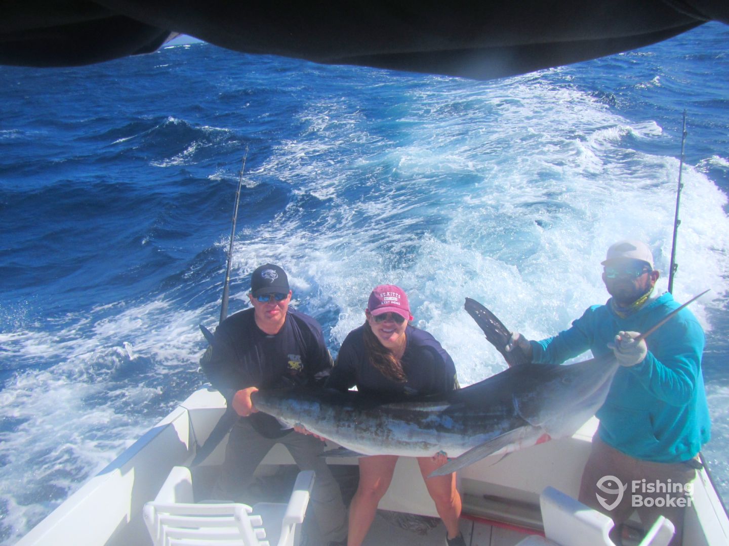 Cabo San Lucas Report Photo 0