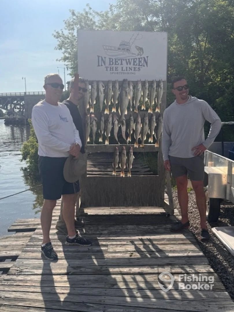 Limit catch out of Lorain