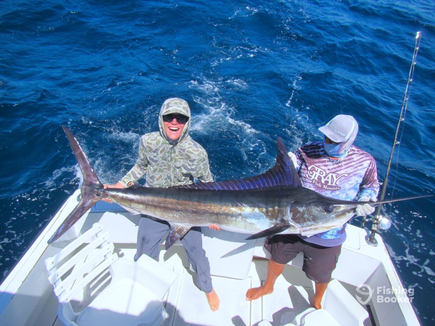 Cabo San Lucas Report Photo 0