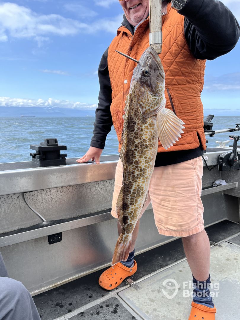 Sooke Report Photo 0