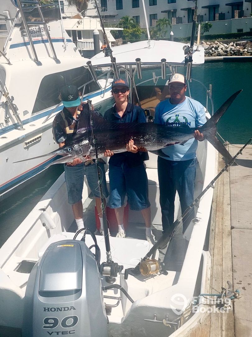 San Jose del Cabo Report Photo 0