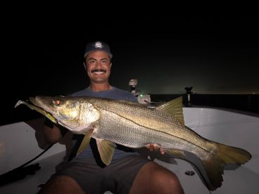 Some giant snook!