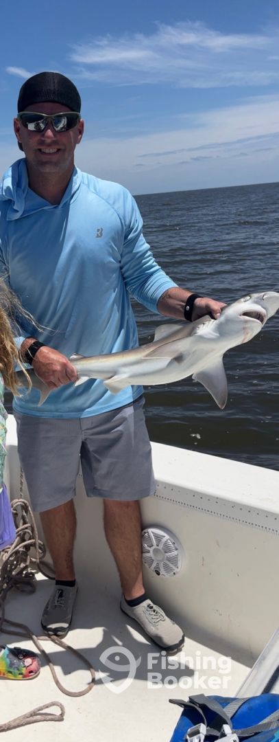 Manteo Report Photo 0