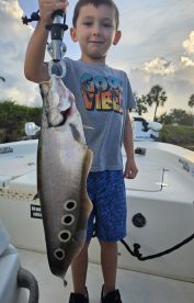 Delray Beach Report Photo 1
