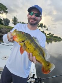 Delray Beach Report Photo 2