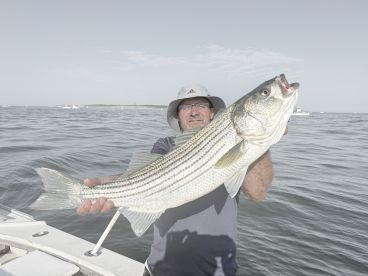 Bass and Blues all day!