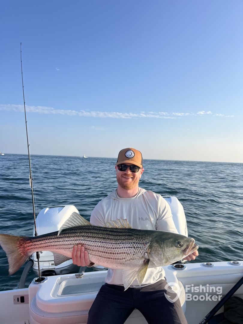 South Kingstown Report Photo 0