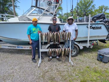 Lorain Report Photo 4
