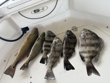 Seabrook Report Photo 3