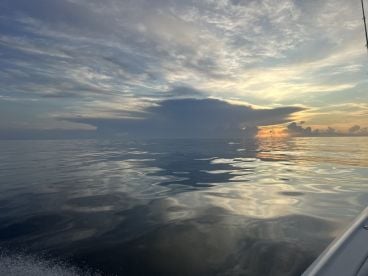 Edgewater Report Photo 1