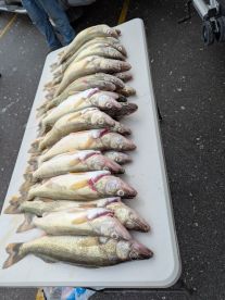 Linwood Report Photo 2