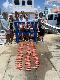 6 hour trip this morning