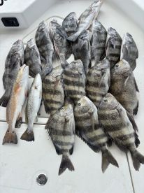 Recent College Grade 