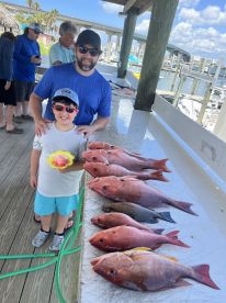 Red Snapper, Lane Snapper, Vermillion Sn