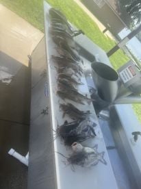 Summer fun!!!