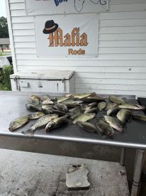 Benton Report Photo 1