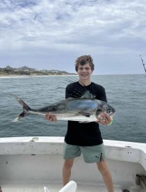 San Jose del Cabo Report Photo 1