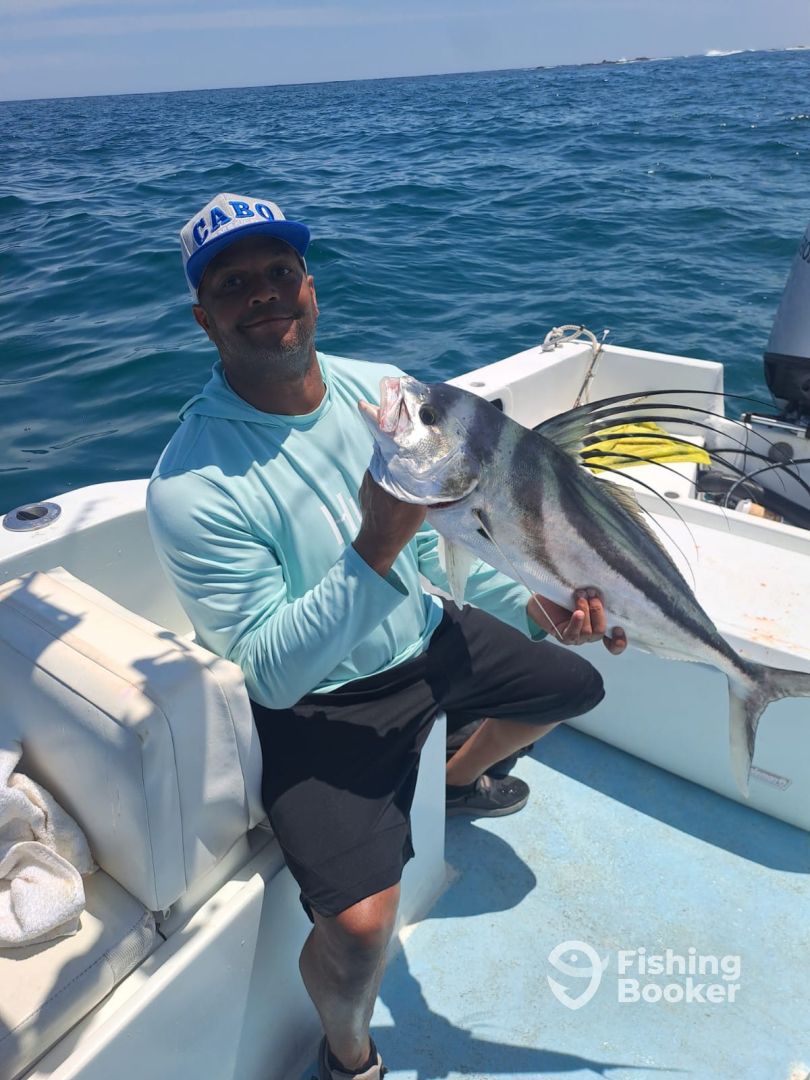 San Jose del Cabo Report Photo 0