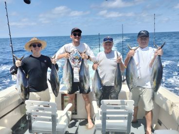 Nuevo Vallarta Report Photo 2