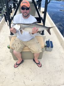 Punta Gorda Report Photo 2