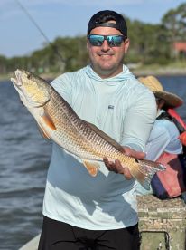 Red fish on the flats 