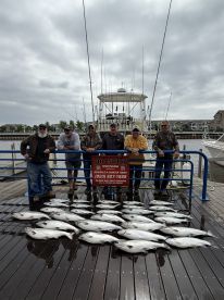 Fast and furious Salmon action!