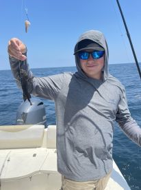 Kitty Hawk Report Photo 1