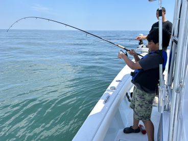 Barnstable Report Photo 4