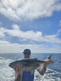 Full day range Yellow fin tuna