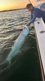 Huge Tarpon! 