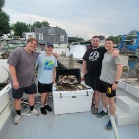 Bottom Fishing Success (Part 2)
