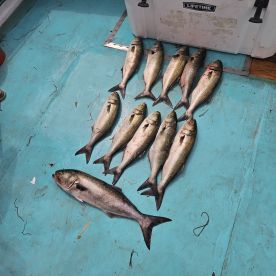 Solomons Report Photo 2