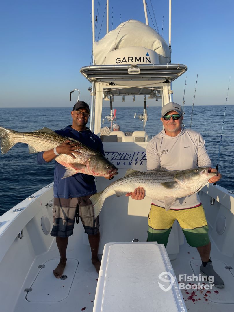 Hampton Bays Report Photo 0