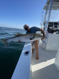 Hampton Bays Report Photo 1