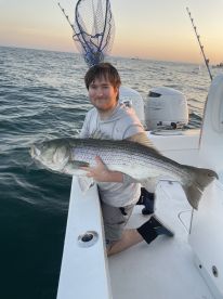 Hampton Bays Report Photo 2