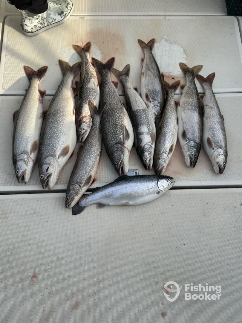 Cheboygan Report Photo 0