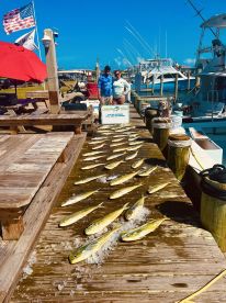 Limits of Mahi
