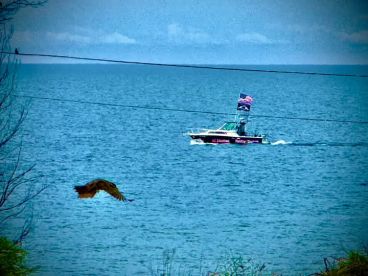 We don't always catch fish but when we d