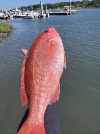 Morehead City Report Photo 1