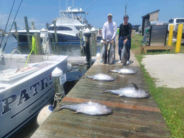 Catchin’ up on whats been catchin’!